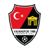 Vereins Logo D_Vatanspor